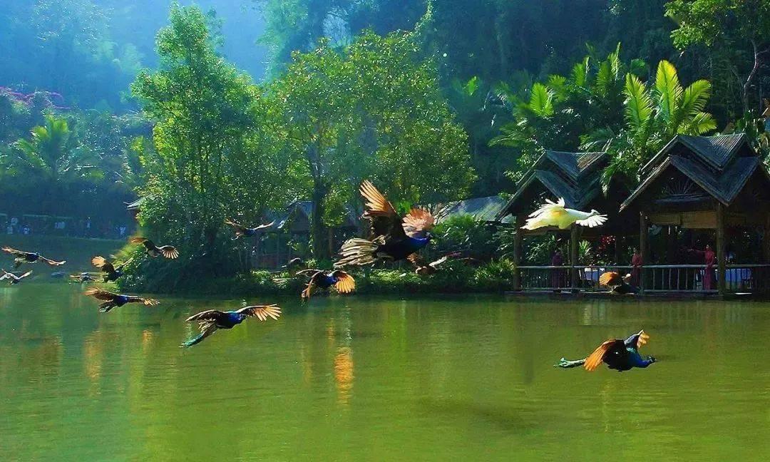 三小只僵尸的游戏时间1