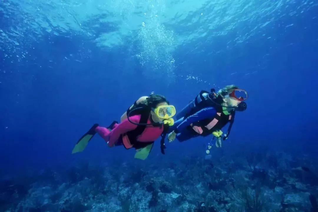 朱元璋爷爷躺在深沟睡大觉,道士:百年后埋在此处,后代必成皇帝